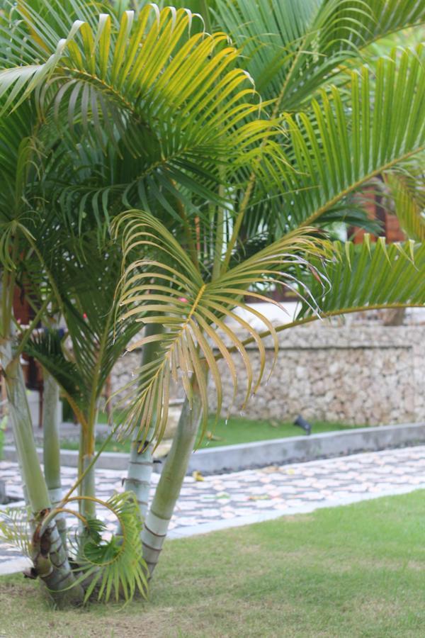 Gepah Garden Cottage Nusa Penida Esterno foto